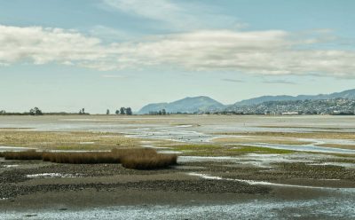 Waimea Inlet at low tide