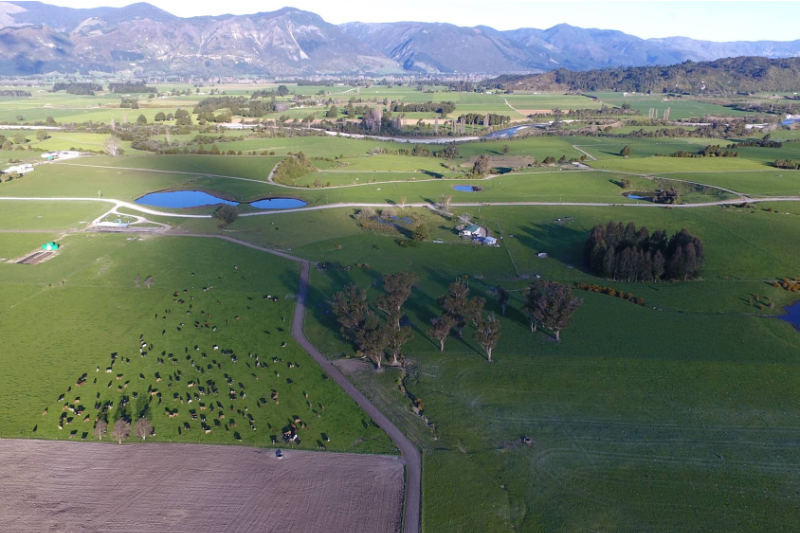 Go Ahead Farm in the Kotinga Valley