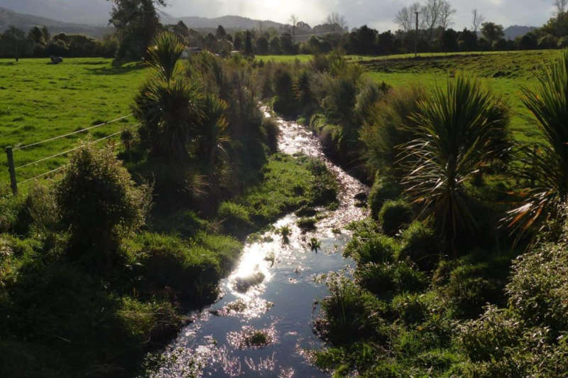 riparian planting