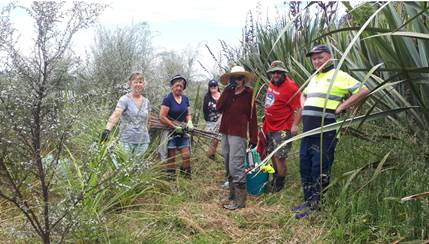 T&G staff volunteering to tidy up plantings on the Bronte Peninsula