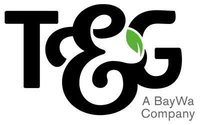 TandG Global logo