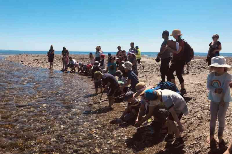 children looking into water at river mouth