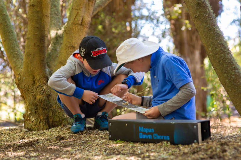 Boys checking preditor traps for the Mapua Dawn Chorus Conservation Project