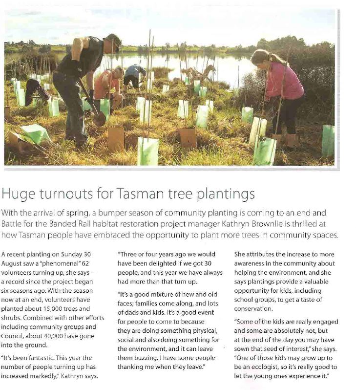 Newsline story about tree plantings for the Battle for the Banded Rail project in Tasman