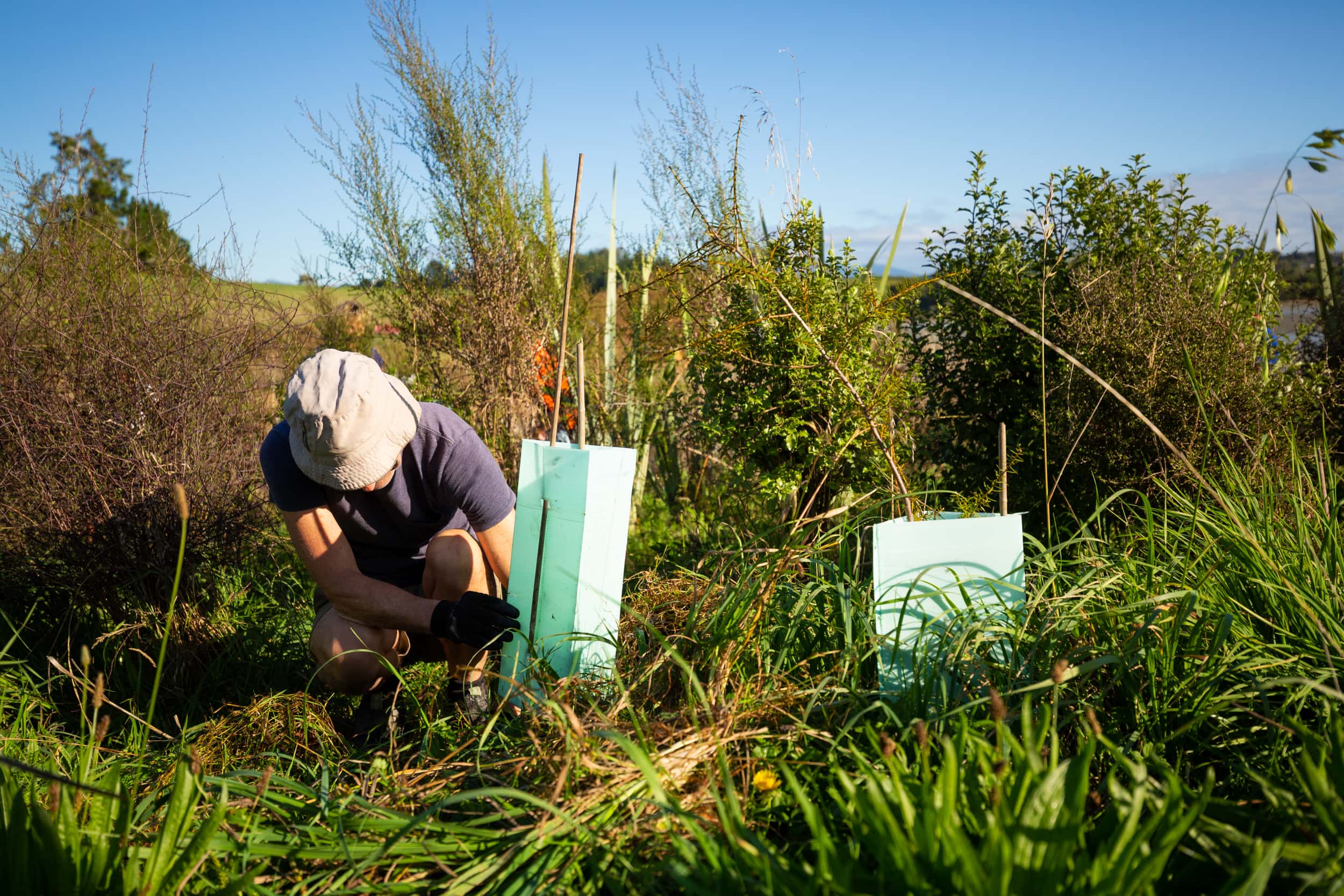 man in hat doing Plant releasing