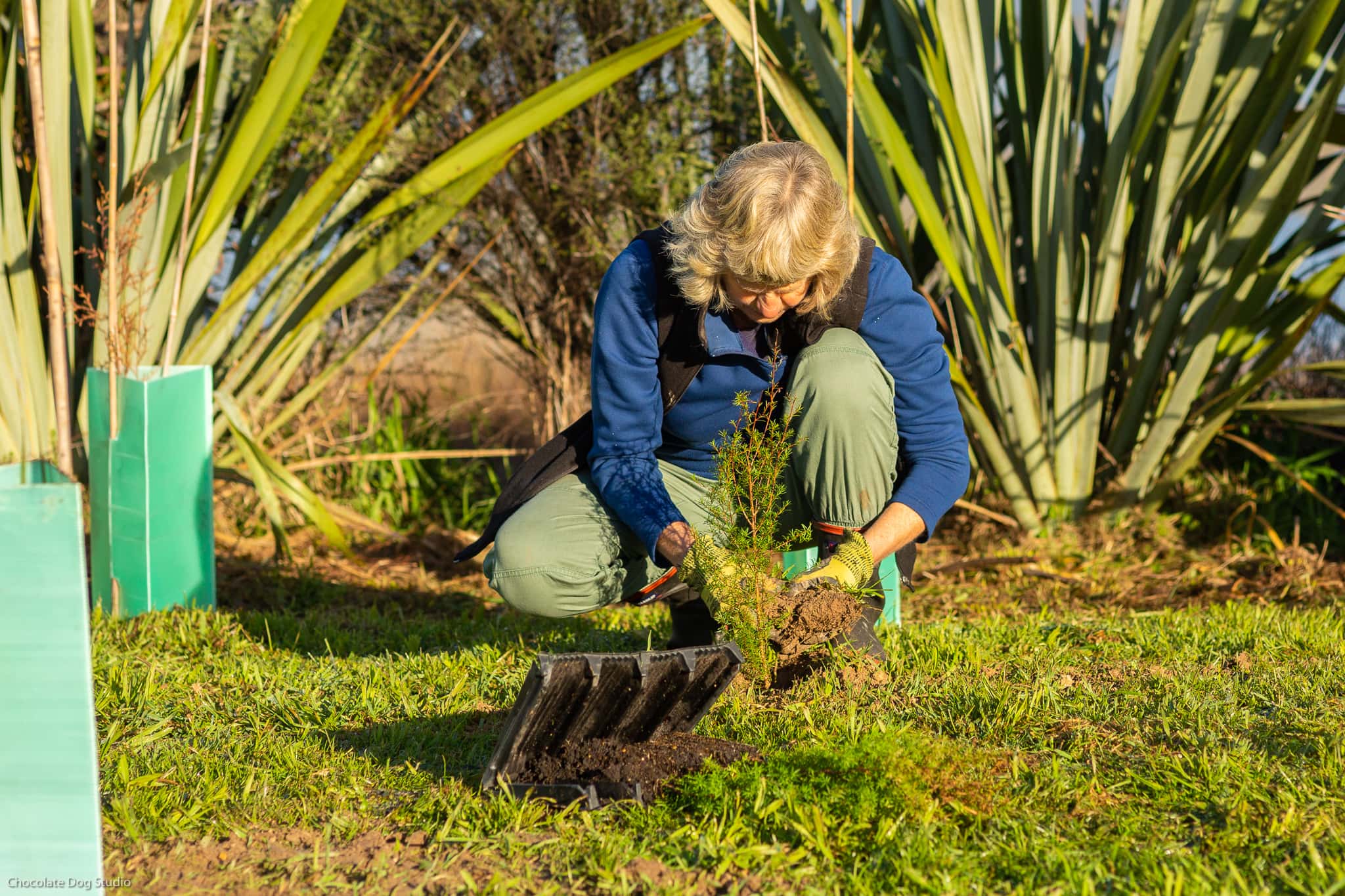 Woman planting a native plant for a restoration planting session