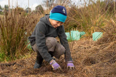 Smiling boy planting a native plant