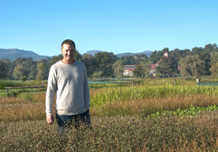 Tim Le Gros, owner of Titoki Nursery