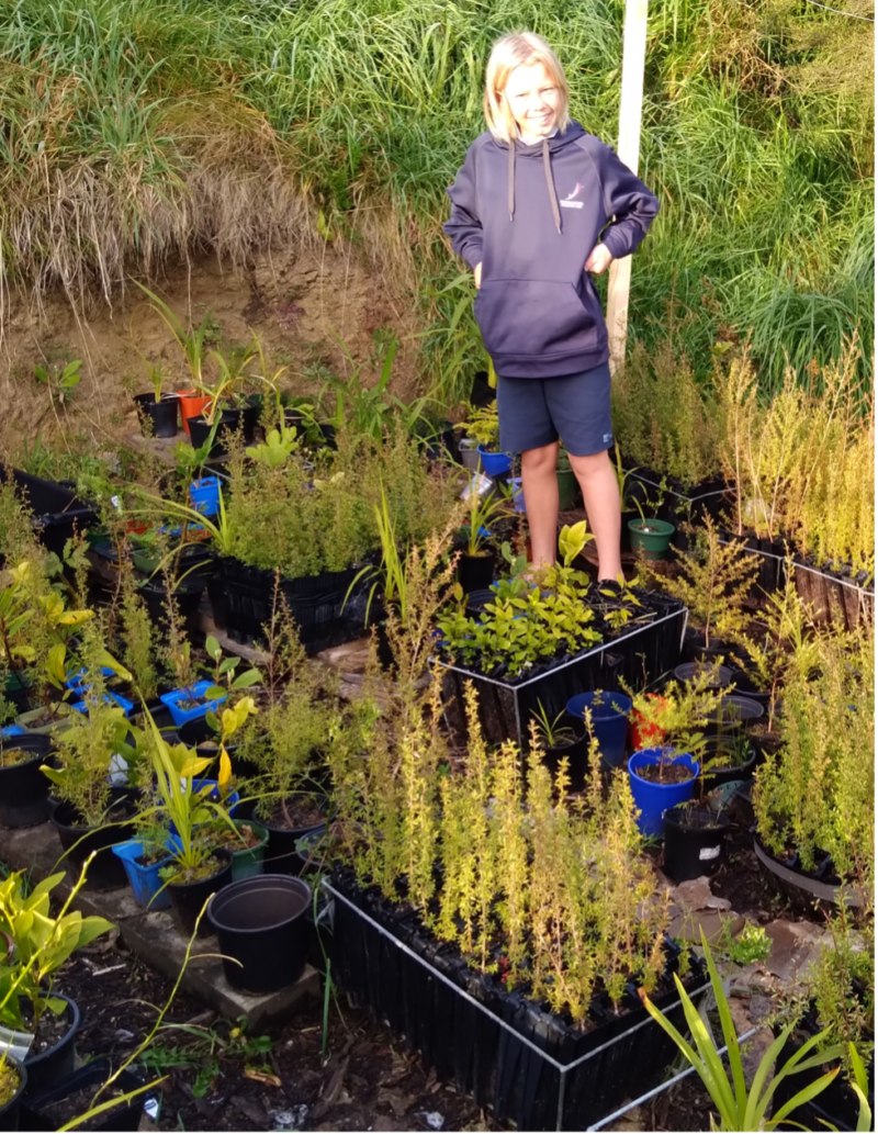 Local teenager Baxter Mosey-Reid with some of the native plants he's propagated.
