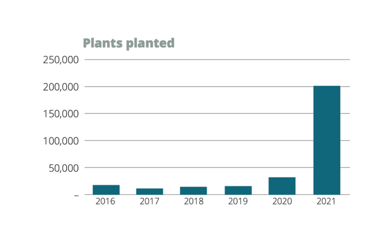 Graph showing total number of plants planted in TET projects 2016–2021
