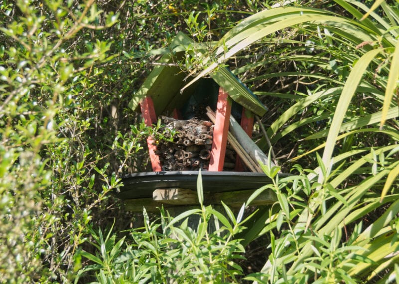 Insect hotel at Salisbury School