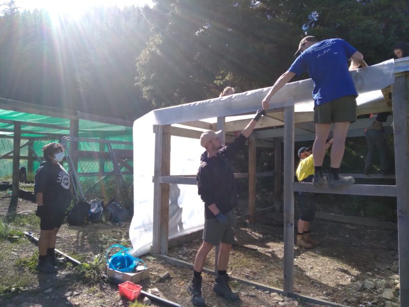 Trainee Rangers helping with nursery construction – Wakapuaka Mouri