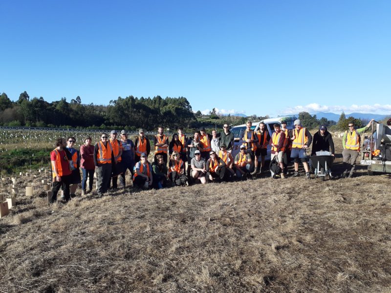 Trainee rangers from NMIT helping with planting for the Waimea Inlet Restoration project