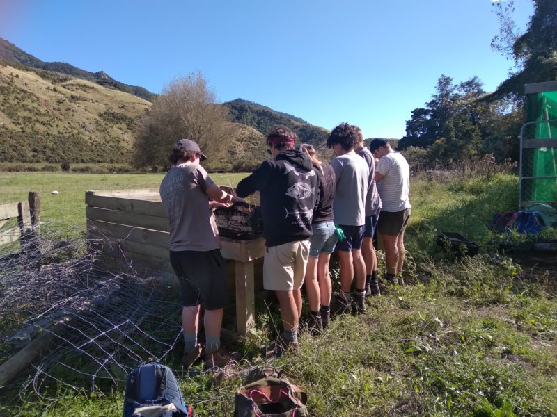 Trainee Rangers helping at the nursery – Wakapuaka Mouri