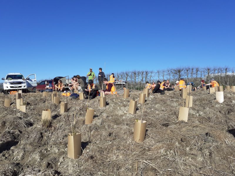 NMIT trainee rangers taking a break after planting for the Waimea Inlet Restoration project