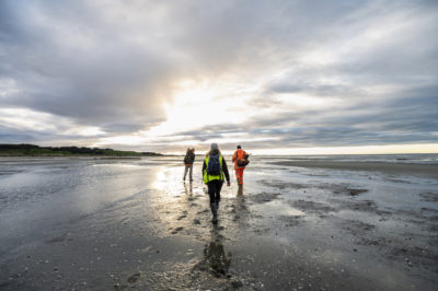 Taking cores in seagrass habitat at Onetahua Farewell Spit