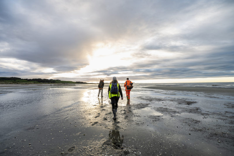 Lauren and two team members head out to the seagrass habitat on the inside of Onetahua/Farewell Spit.