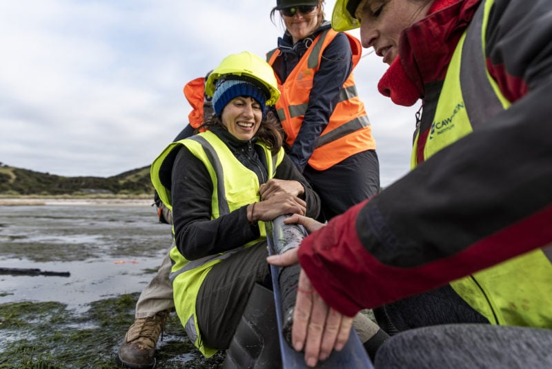 Anna Berthelsen from Cawthron extracts a core from the coring tube.