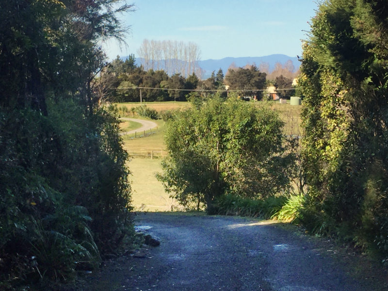 Mārahau view