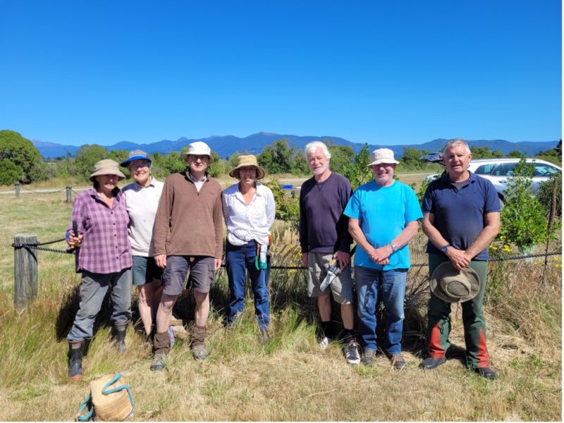 Keen Volunteers working to make the Kina area safe for bird species