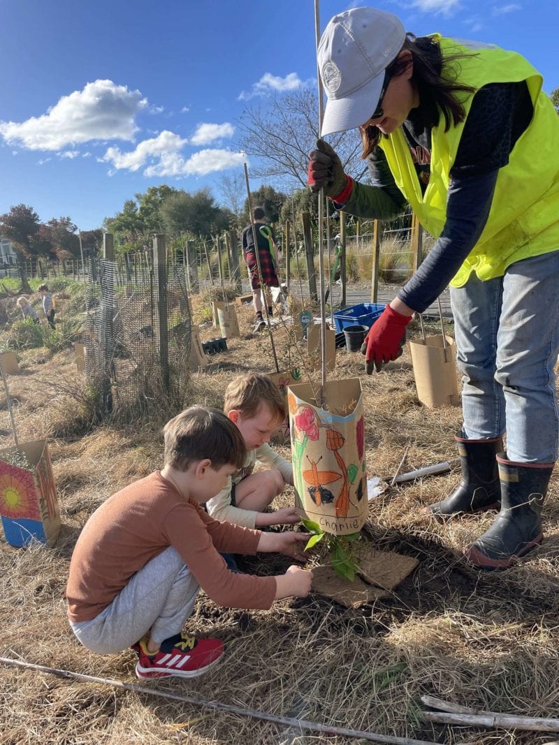 kids putting guards on plants