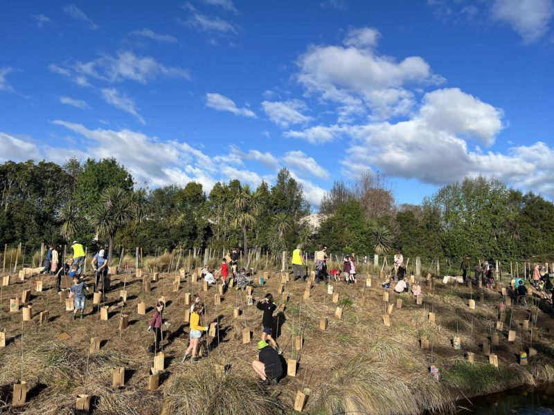 Students planting