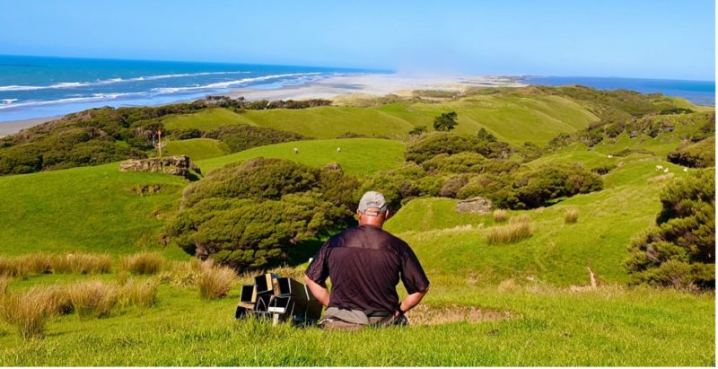 Looking out over Onetahua