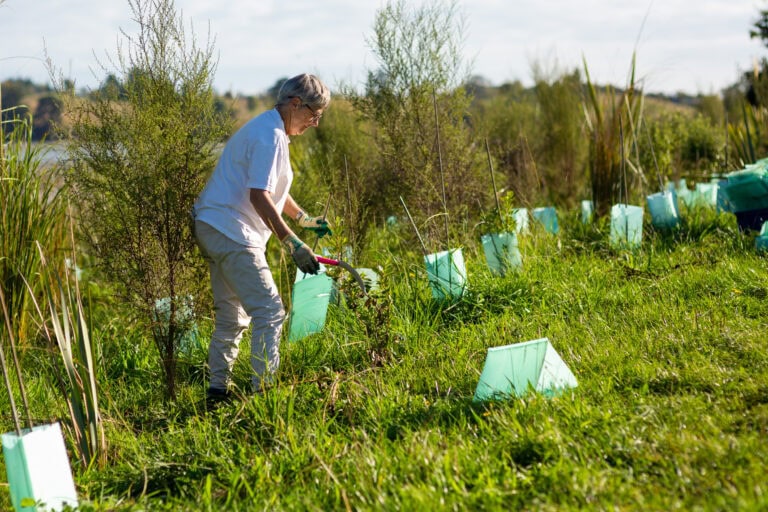 woman working at native planting site